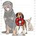 TUFFY - World's Tuffest Soft Dog Toy -Jr Ring- Red -Squeakers-Multiple Layers.Made Durable, Strong & Tough.Interactive Play(Tug, Toss & Fetch).Machine Washable & Floats
