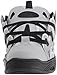 Osiris Men's D3 2001 Skate Shoe