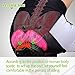 Beroy Women's Bike Shorts with 3D Padded Pocket, UPF 50+(S Pink)