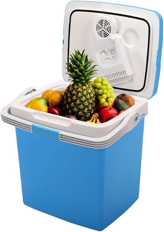 portable car refrigerator cooler & warmer