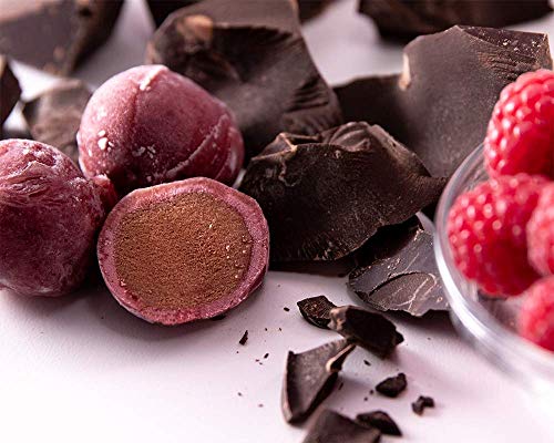 PERFECTLY FREE Frozen Bites - Allergy-Free, Non-Dairy, Non-GMO & Vegan Friendly Frozen Treats (Raspberry Chocolate) (6 Pack)
