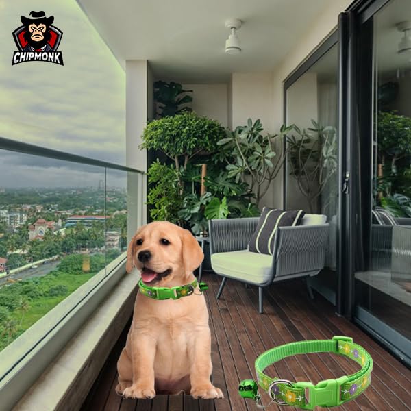 Chipmonk Cat & Puppy Collar with Bell,Kitten & Small Dogs Soft Adjustable,Safe,Solid & Protective Breakaway for Cats & Puppies,Cute Kitty Neckband with Flower Print-(Green) 3