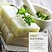 Pifito Olive Oil Melt and Pour Soap Base (2 lb) │ Premium 100% Natural Glycerin Soap Base │ Luxurious Soap Making Supplies