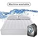 Freelife Queen Size Mattress Pad Cover Mattress Topper Cotton Top Pillow Top Ultra Soft Overfilled with Deep Pocket