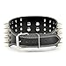 Vvhome 4 Rows Spiked Golden Rivets Studded Leather for Dog Collar (Black, M)