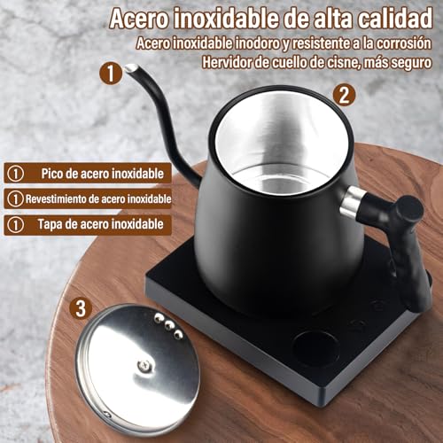 GALASALA Tetera Electrica de Cuello de Cisne de 1 L, Hervidor Agua Electrico de Acero Inoxidable 304, 800W de Calentamiento Rápido, Tetera Cuello de Cisne Portátil，con Apagado Automático