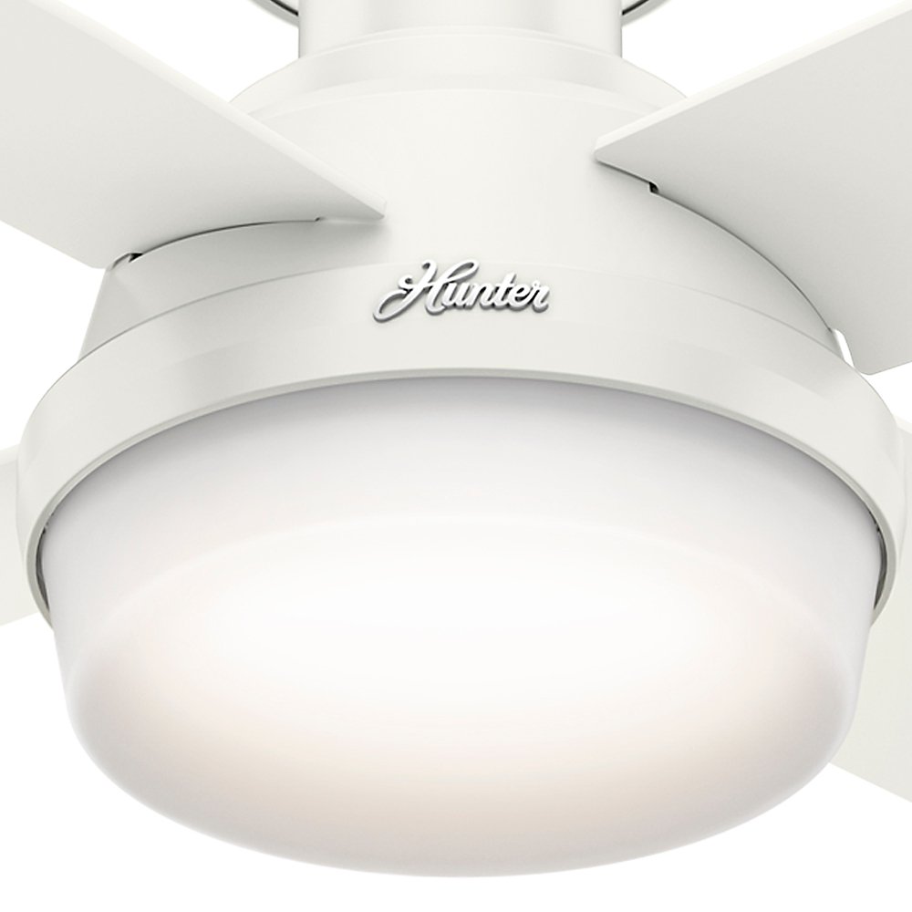 Hunter Dempsey Indoor Low Profile Ceiling Fan with LED Light and Remote Control, 44 Inch , White