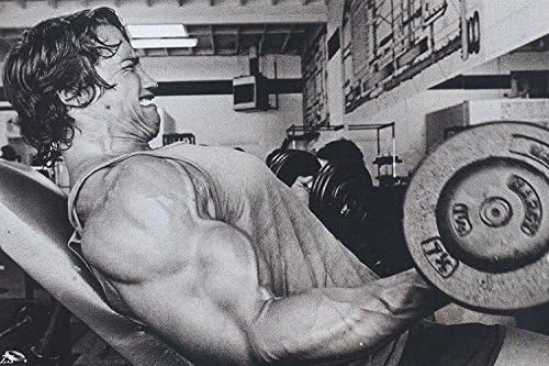 Lawrence Painting Arnold Schwarzenegger Canvas Wall Poster Modern Home Decor Classical Fitness Gym Bodybuilding Posters Hunk Muscle Man 16 43x32 inch