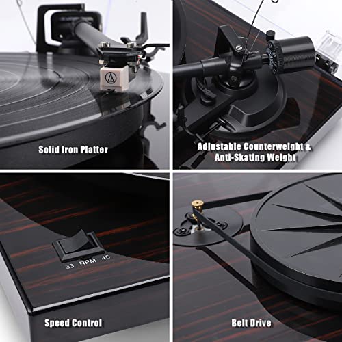 ANGELS HORN Turntable, Vinyl Record Player, Bluetooth Builtin Phono