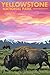Lantern Press 9x12 Inch Art Print Wall D√©cor, Yellowstone National Park, Bison and Sunset