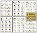 Bachelorettesy Wedding Temporary Tattoos 6 Sheets Bride Bachelorette Stickers 100+ Metallic Gold Tattoos for Bridal Party, Bachelorette Trip, Bridal Shower Party Decorations, Party Favors (Nina)
