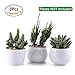 T4U Inch Ceramic White Collection NO.31 Succulent Plant Pot/Cactus Plant Pot Flower Pot/Container/Planter Package 1 Pack of 3