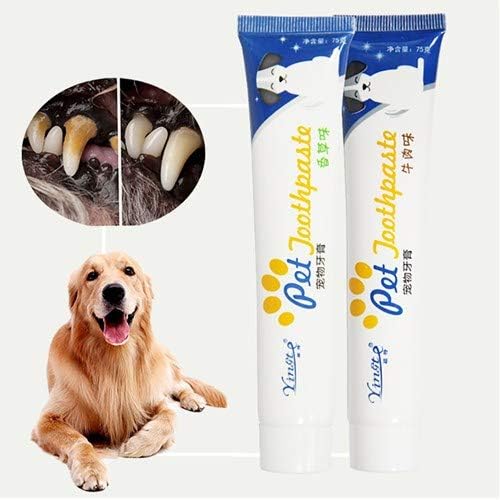 meat flavored dog toothpaste