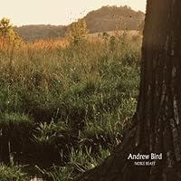 Andrew Bird Ablum Cover