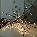 Babali Lighted Twig Branches 20 Inches 100 Led Battery and Electric / Corded Dual Power Brown Wrapped Artificial Willow Warm White Lighting Branch Lights Crafts with Timer