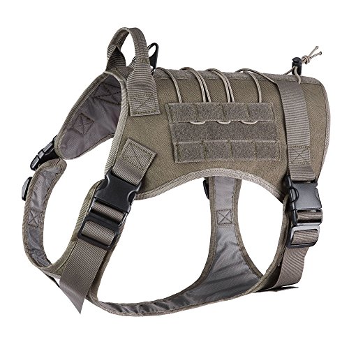 Top dog harness tactical vest waterproof for 2019 Infestis Reviews