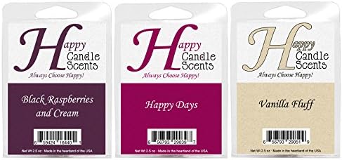 HCS Fruit Themed 3-Pack of Highly Scented 2.5 oz Wax Melts Black Raspberries and Cream, Happy Days and Vanilla Fluff