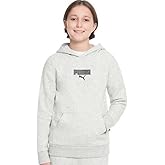 PUMA Youth Boy's Logo Fleece Lined Long Sleeve Pullover Hoodie Sweatshirt (US, Alpha, Medium, Regular, Grey)
