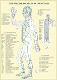 Image de Special Points in Acupunture -- A4