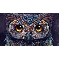 Classic Jigsaw Puzzle 1000 Piece Adult Children Puzzle Wooden Puzzle DIY Beautiful Beautiful Owl Head Portrait Modern Home Decor Festival Gift Intellectual Game Wall Art 70.5x50.5cm