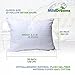 Milddreams Pillows Queen Size Set of 2 (20 x 30 inch) – Bed Pillows for Sleeping 2 Pack - Two Pillows Queen - Soft Material Goose Down Alternative