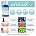 Peppermint Essential Oil by Ancient Nutrition, Certified Organic, 100% Pure and Therapeutic Grade, Great with Oil Diffuser or Moisturizer, Invigorating and Refreshing, 15ml