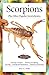 Scorpions (Advanced Vivarium Systems) by 