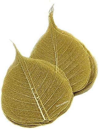NAVA CHIANGMAI Skeleton Natural Ficus Religiosa Leaves Artificial Leaves Craft Card Scrapbooking DIY Embellishment Decoration Art Greeting Cards Wedding Gifts Seasonal Gift (Gold)