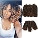 8 inch Marly Braid Ombre Braiding Hair T1B/30 synthetic Crochet Braids Marlibob Kinky Curly Crochet Hair 6 packs/lot Crochet Curly Braids Hair