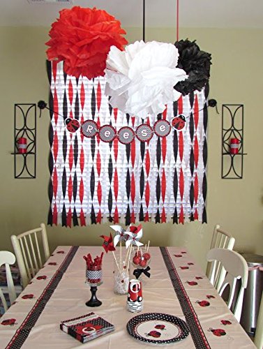 Ladybug Birthday Party Decoration Graduation Party Decorations