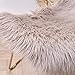 LEEVAN Fur Computer Chair Cover Faux Sheepskin Fur Rug Fluffy Chair Couch Cover Shaggy Throw White Fur are Rugs for Bedroom Sofa Living Room Floor Mat Carepet- 2 ft x 3 ft, Light Coffee