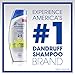 Head and Shoulders Instant Oil Control Anti-Dandruff 2in1 Shampoo & Conditioner, 12.8 fl oz