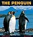 The Penguin (Animal Close-Ups)