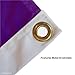 James Madison Dukes JMU University Large College Flag