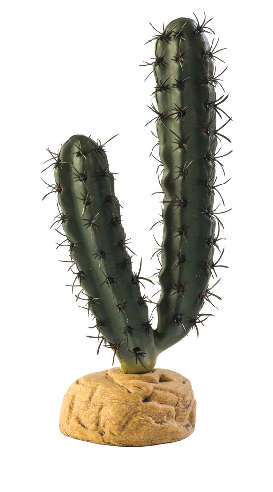 Exo Terra Finger Cactus