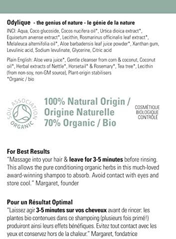 Odylique Tea Tree Shampoo 500ml, 500 ml (Pack of 1) - Image 4