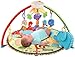Fisher-Price Luv U Zoo Deluxe Musical Mobile Gym