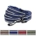 Blueberry Pet Essentials Durable 3M Reflective Classic Dog Leash 5 ft x 3/4
