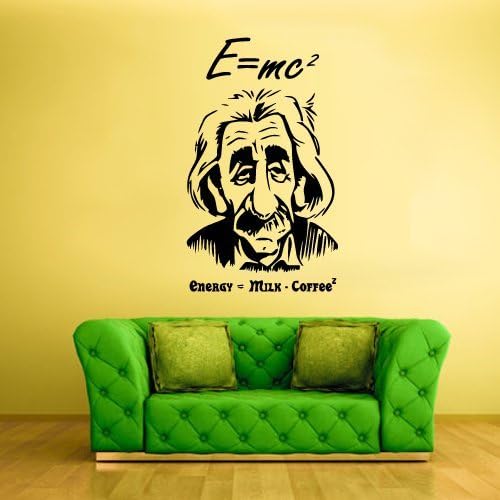 Wall Vinyl Sticker Decals Decor Art Bedroom Design Mural Words Funny Einstein Cartoon Formula (Z497)