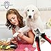 Paw Brothers Professional Dog Grooming Tools Kit from Dog Nail Clippers, Slicker Brush, and Greyhound Metal Comb Pet Grooming Tools - 100% Guaranteed