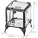 Clear Beveled Glass Jewelry Box Decorative Keepsake with Hinged Lid - J Devlin Box 153