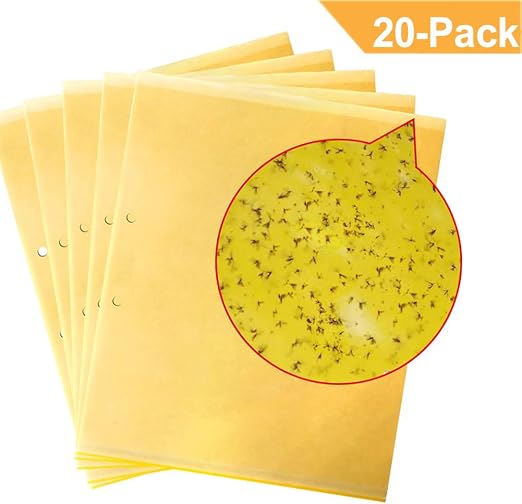 20PCS trampas adhesivas doble amarillas moscas jardín tablero ...