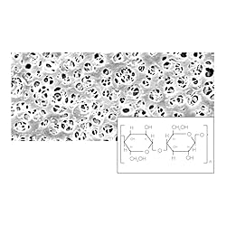Sartorius 18407--25------N Regenerated Cellulose