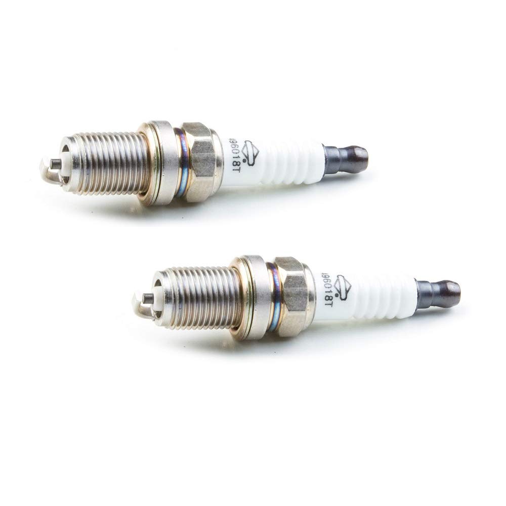 Briggs & Stratton 496018S Spark Plugs, Pack of 2