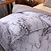 NTBED Marble Comforter Set Queen with 2 Matching Pillow Covers Lightweight Printed Quilted Microfiber Bedding Sets