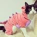 Bro'Bear Pet Plush Outfit Dinosaur Costume with Hood for Kitties Cats Jumpsuit Winter Coat Warm Clothes (Pink, X-Large)