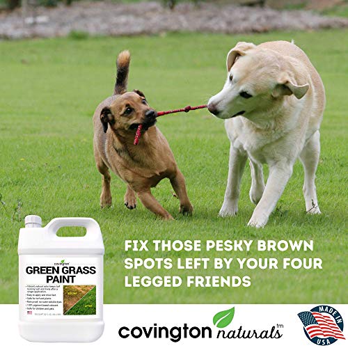 Covington Green Grass Paint for Lawn Green Lawn Paint Grass Spray