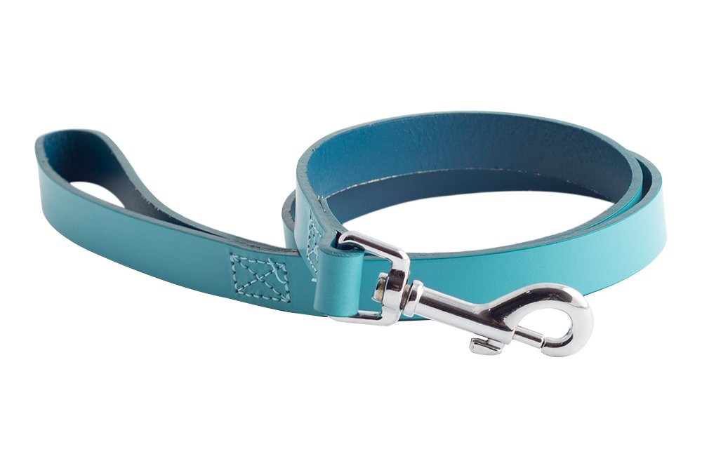 Ancol Indulgence Leather Dog Lead - Aqua - Two Tone Bridle Leather Strong Trigger Hook Pet Walking Accessory - 1m x 19mm