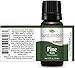 Plant Therapy Scots Pine Essential Oil 10 mL (1/3 oz) 100% Pure, Undiluted, Therapeutic Grade