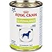ROYAL CANIN Glycobalance Can (24/13.4 oz) Dog Food
